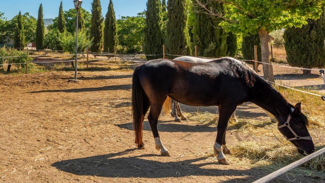 Cortijo Carrillo Antequera By Ruralidaysヴィラ エクステリア 写真